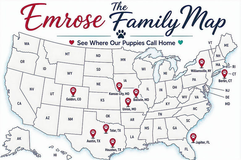 Emrose Family Map_edited_edited.jpg