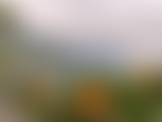 Villeneuve, Geneva Lake, Lac Leman