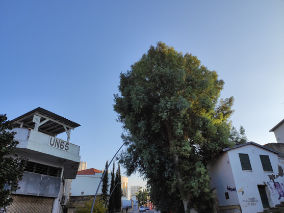 Last divided capital in Europe, Nicosia, Cyprus