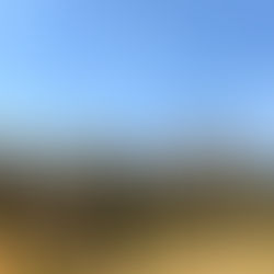 Top Things To Do In Bangalore (part 2/2)