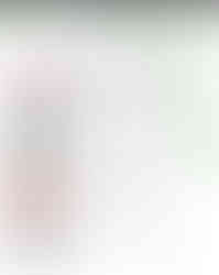 Paris Marathon, starting zones