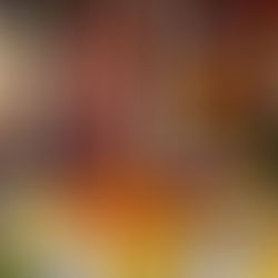 Top Things To Do In Bangalore (part 1/2) 