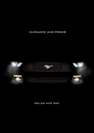 Mustang 8.jpg