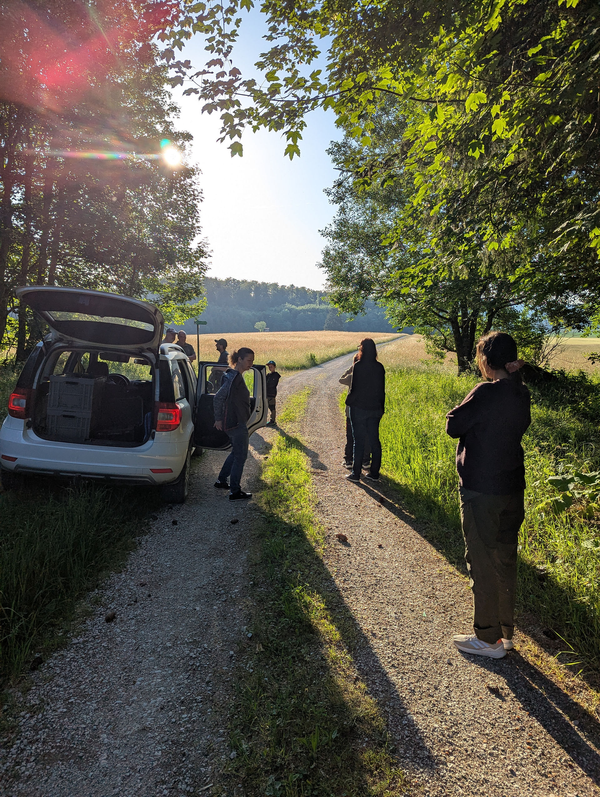 Rehkitzrettung