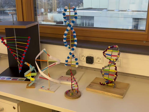 Kreativität trifft Wissenschaft!