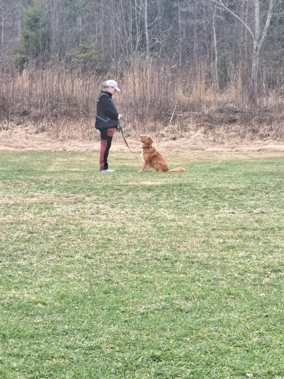 Messenger_creation_8691043500998037