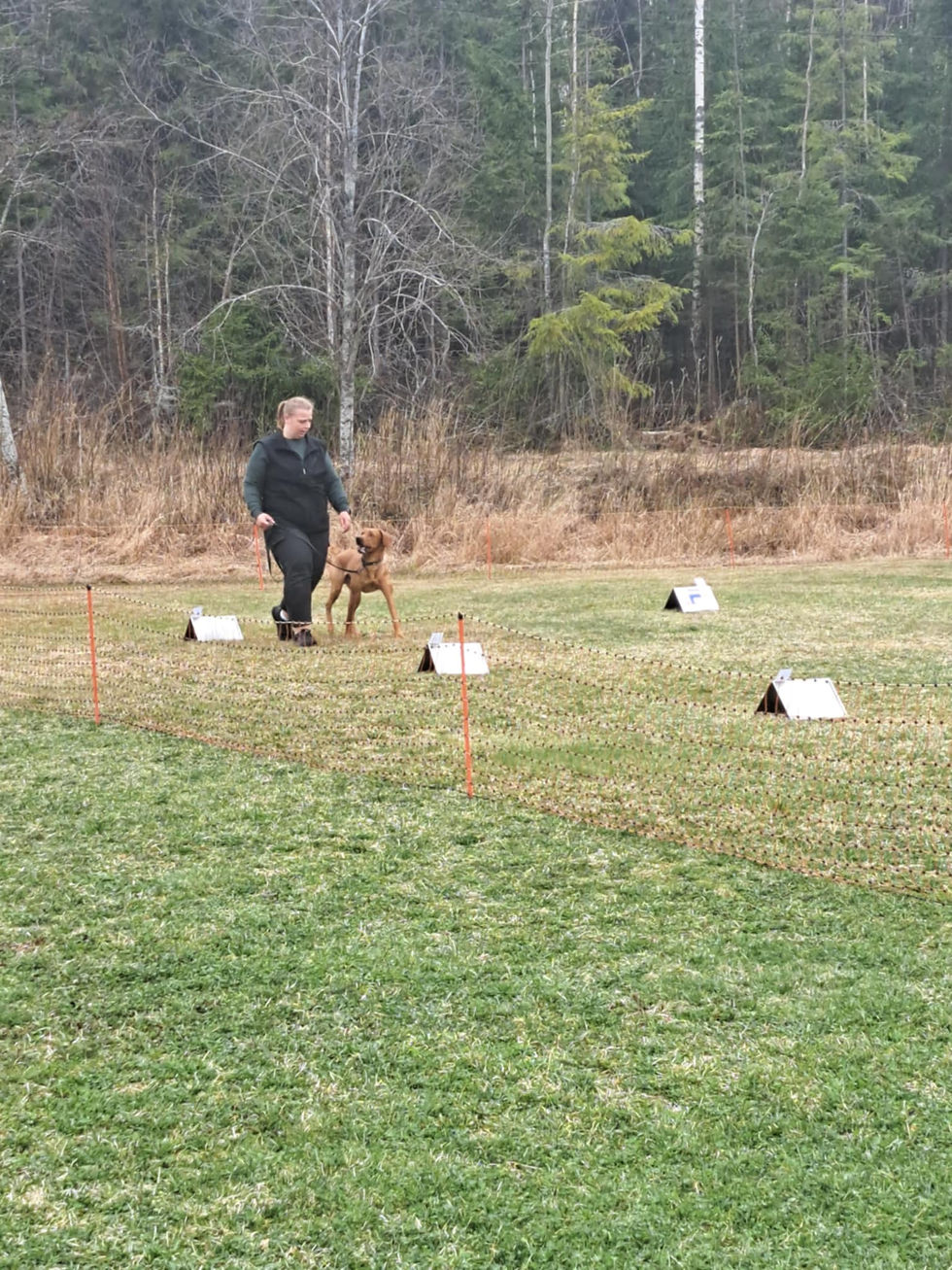 received_537743872709661