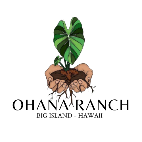 Ohana Ranch logo
