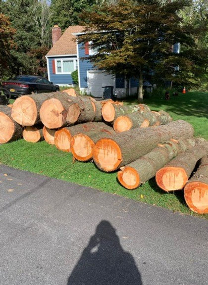 ArborX Pic19.jpg