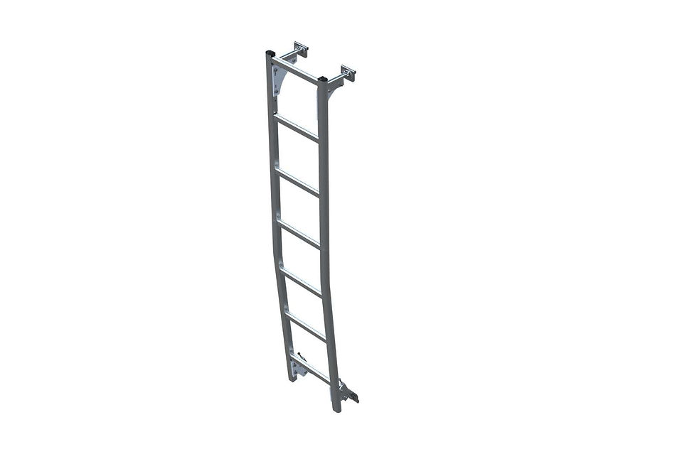 Rear Door Access Ladder, Sprinter High Roof, AAL-8003 | AAL-8003