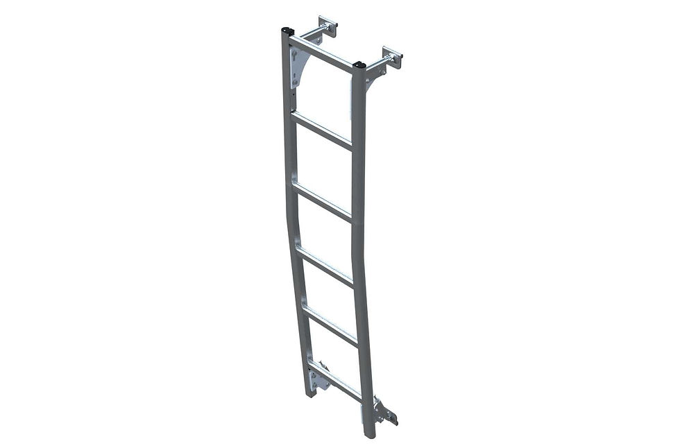 Rear Door Access Ladder, Sprinter Low Roof, AAL-8004 | AAL-8004