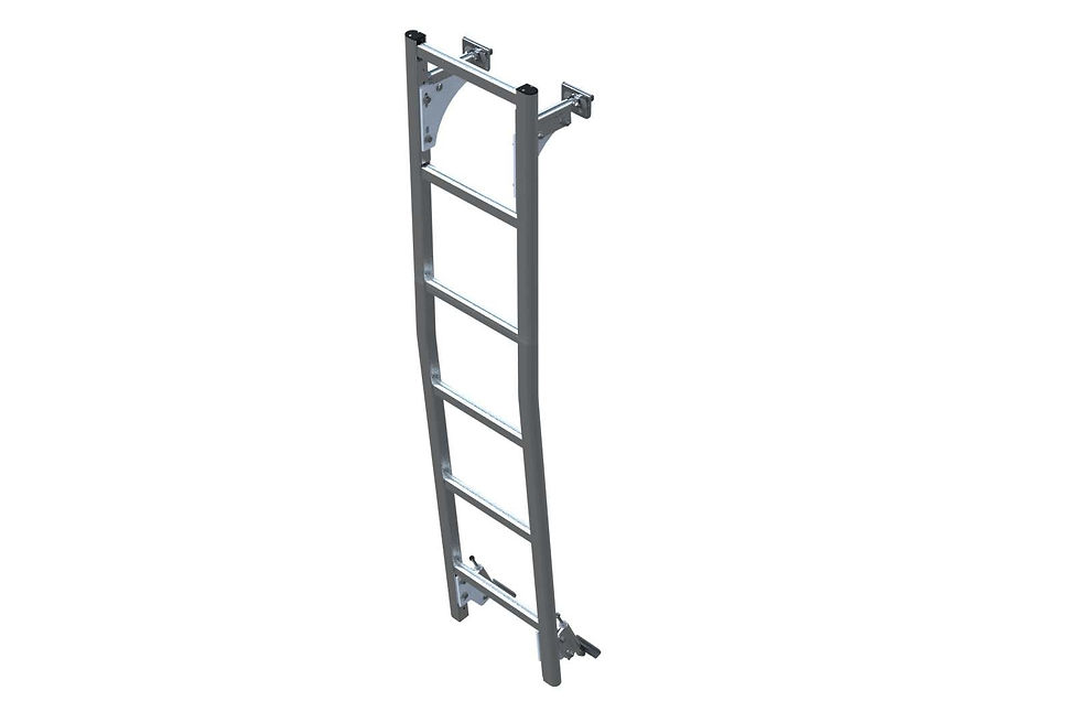Rear Door Access Ladder, ProMaster Low Roof, AAL-8012 | AAL-8012