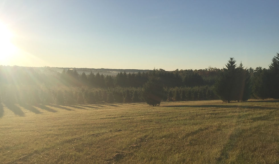 rolling hills