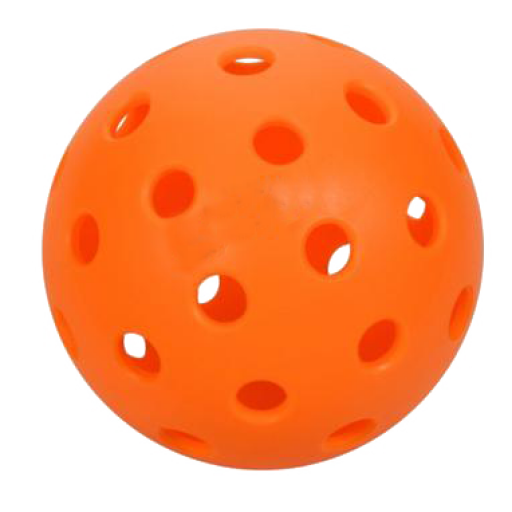 National Pickleball Day