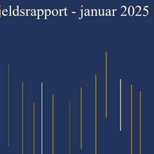 Nye gjeldsrapporter