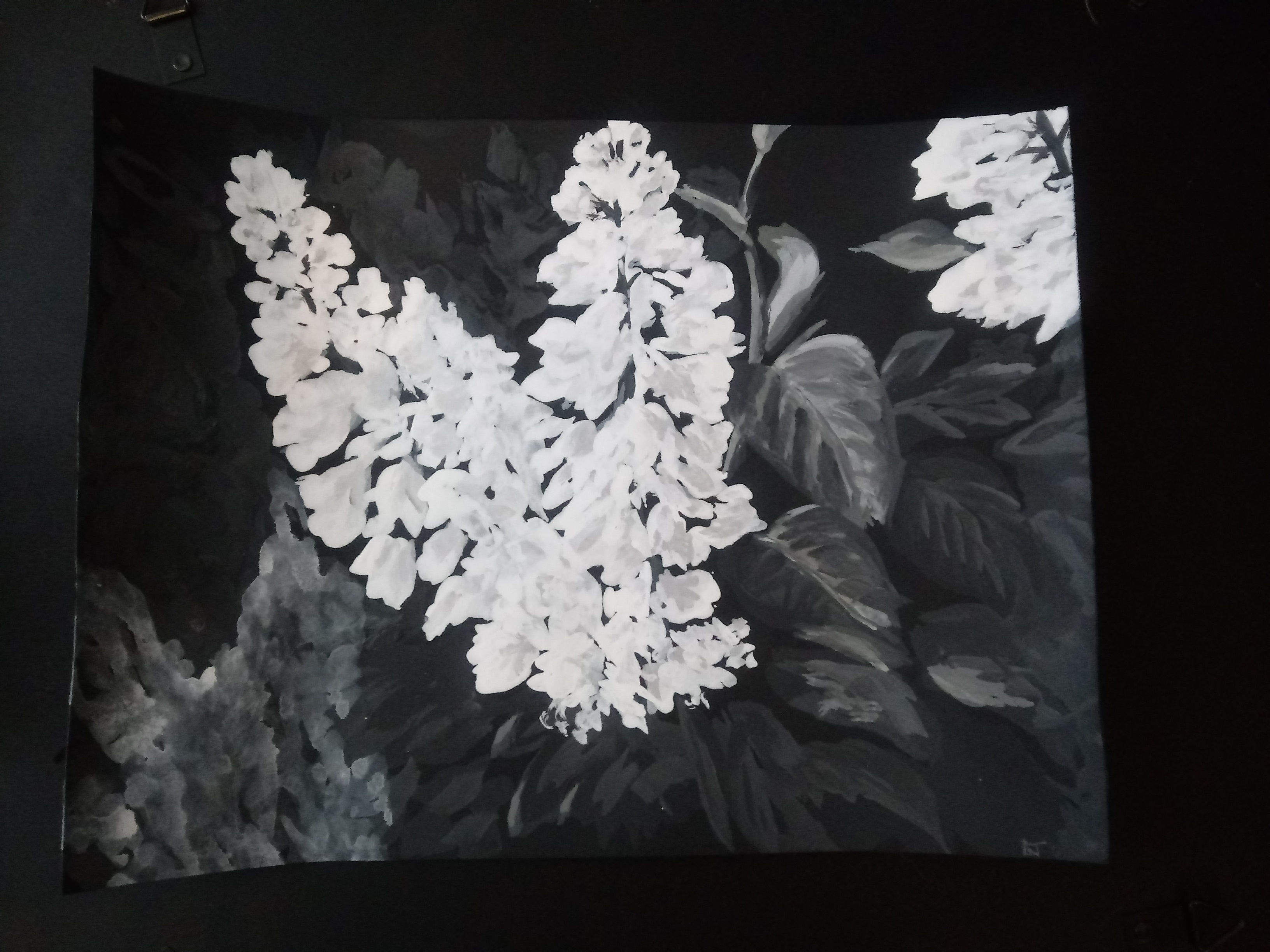 LILACS 18x24 Canvas Print