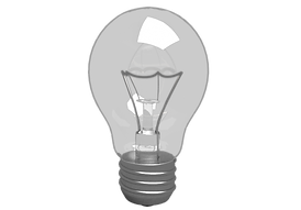 B&W Bulb
