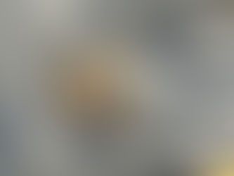 ごぼうの種まき