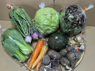 2023/2/24野菜セットM