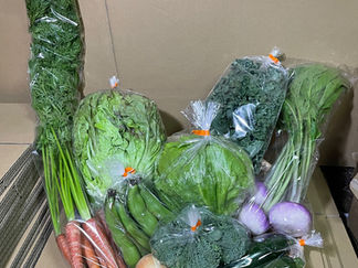 2023/5/17野菜セットM