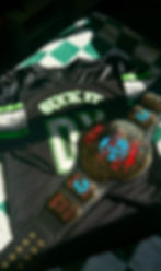 Jacob Hammersley’s WWE wrestling memorabilia, including a D-Generation X jersey and championship belt photographed together.