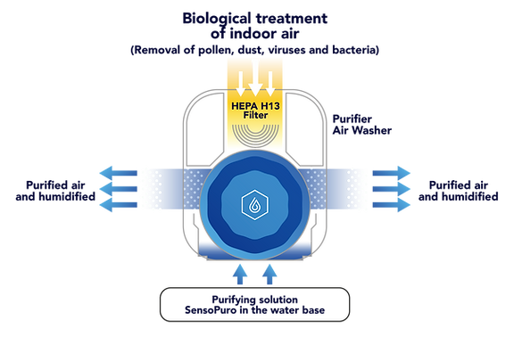 schema eng.png