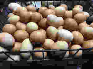 eggs in a basket