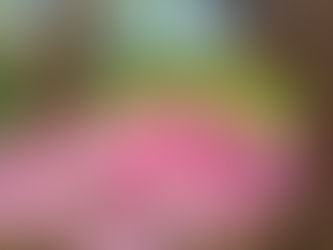 Les cosmétiques naturels: un dialogue entre la peau et la nature 🌸