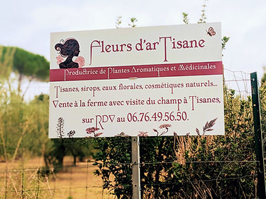 visite jardin distillerie producteur gard, uzes, goudargues, vallee de la cèze, barjac, ba