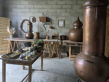 visite jardin distillerie producteur gar