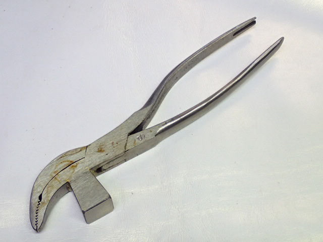 swani.jpg