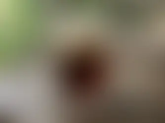 Glass of sarsaparilla root beer with foam on top