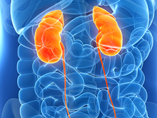 Is Kidney Disease Inherited? - Plurefy Insights on Genetic Risks