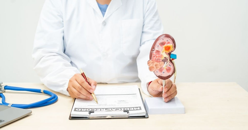 Doctor in white coat writes on clipboard labeled "MEDICAL RECORD" beside a kidney model. Stethoscope on table. Clinical setting.