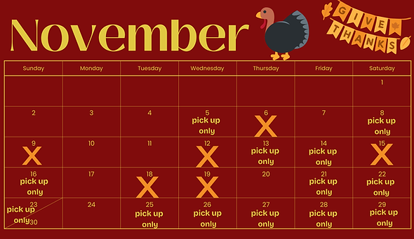 Black and White Elegant Minimalistic November 2025 Monthly Calendar.png