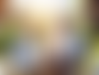 403(b) Rollover Guide: IRA, Roth, and Tax Benefits