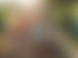 Choosing a Mutual Fund Advisor for Retirement Success