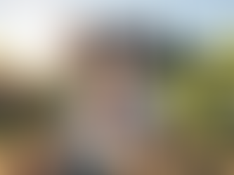 Navigating Wealth Transfer: Strategies and Management Solutions