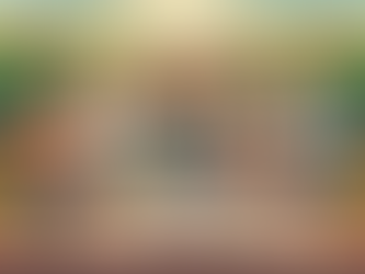 Retirement Planning Guide: Save, Invest, and Plan