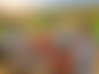 Selecting Temecula CFPs for Retirement: A Guide