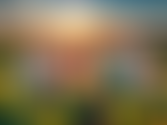 Rebalance Your Retirement Portfolio: A Step-by-Step Guide