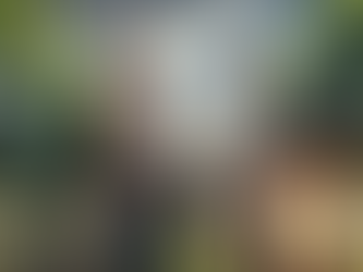 Choosing a Certified Investment Advisor for Retirees