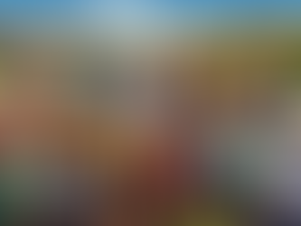 Retirement Account Management Guide for Temecula Residents