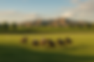 700AFC47-BD0C-4424-B29A-5D65B2D97EC9.png