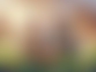 7 Best Conservative Investments After 65: A Guide