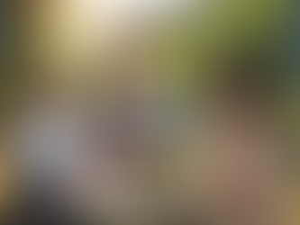 Senior Investment Consulting: Finding the Right Advisor