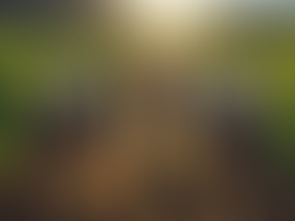 Choosing the Best Temecula CFP for Retirement Investments