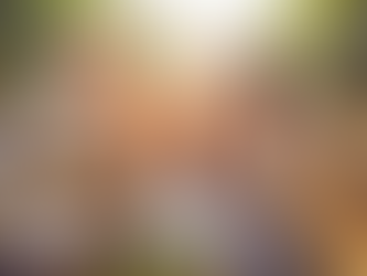 Choosing Your Ideal Temecula Retirement Financial Advisor