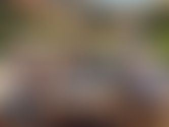 Asset Allocation Guide for Retirees: Protect, Grow, Plan