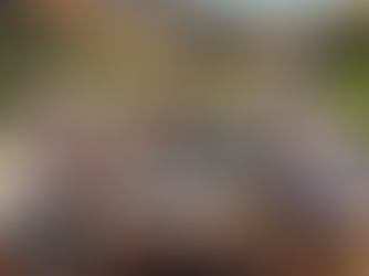 Asset Allocation Guide for Retirees: Protect, Grow, Plan